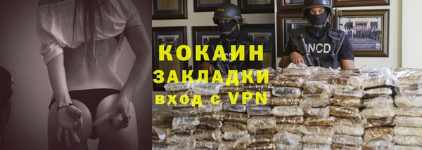 дживик Няндома