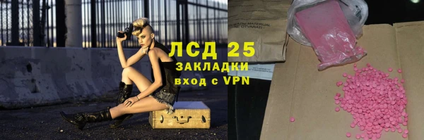дживик Няндома