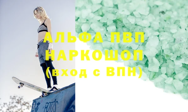 дживик Няндома