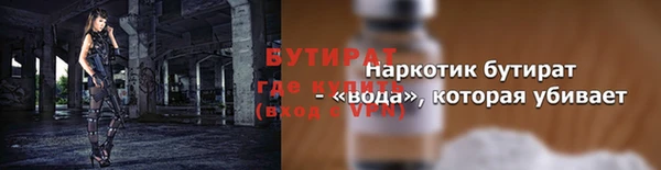 дживик Няндома