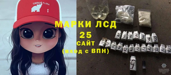 ПСИЛОЦИБИНОВЫЕ ГРИБЫ Болотное