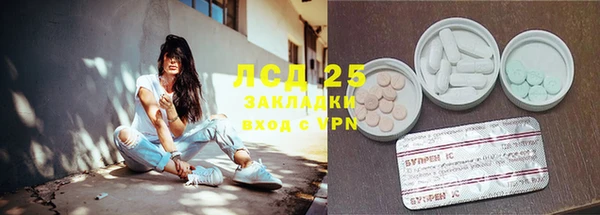 дживик Няндома